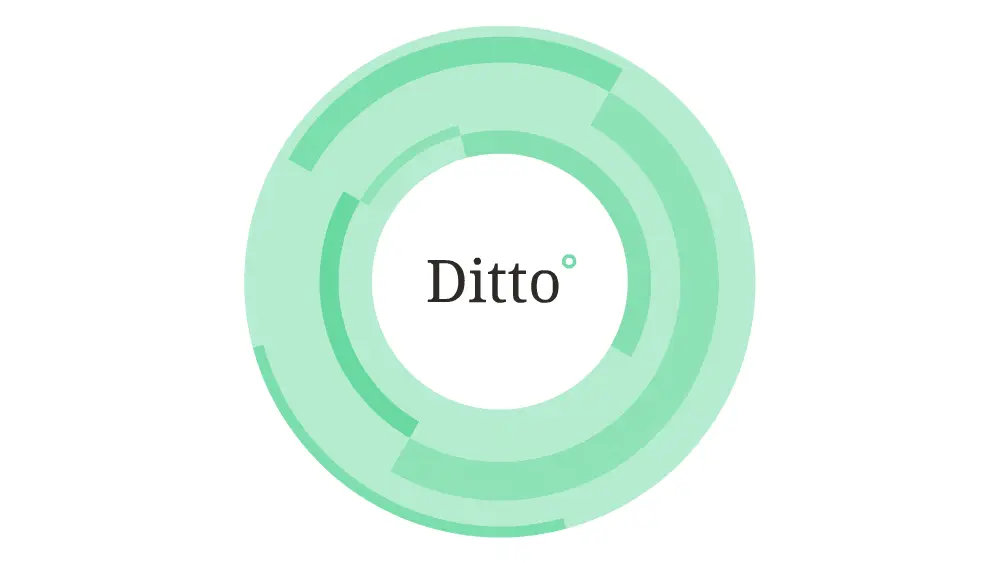 Ditto Services · image 6