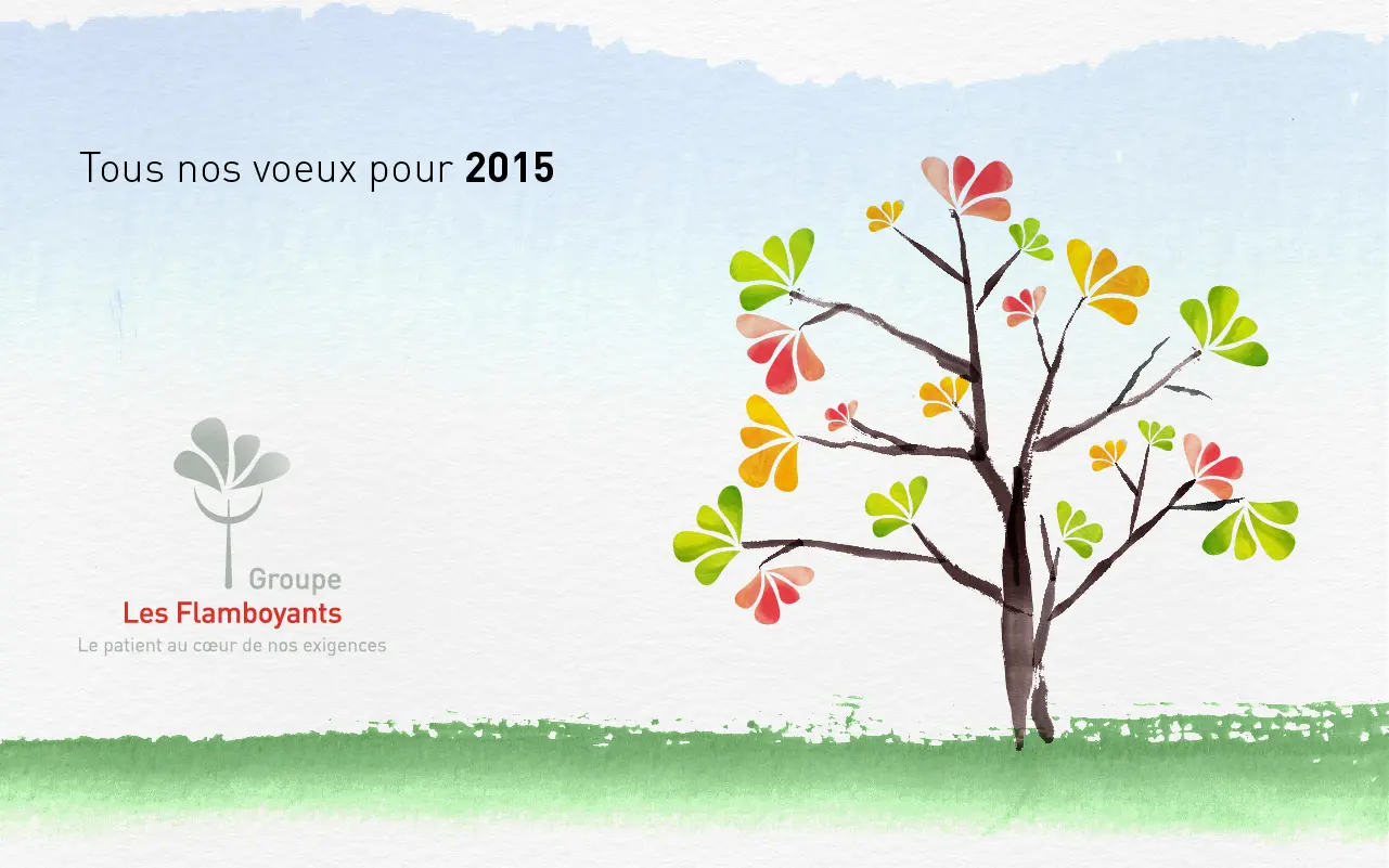 Les Flamboyants · Vœux 2015 · image 7