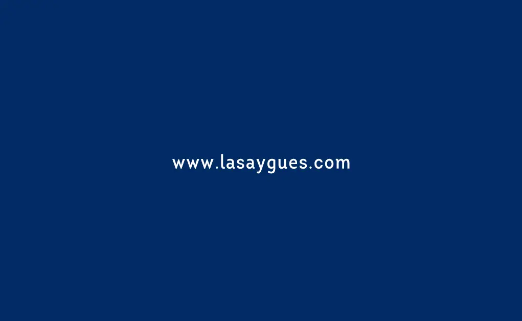 Lasaygues - Vœux 2018 · image 5