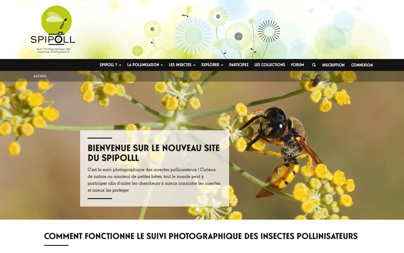 Muséum d'Histoire Naturelle · SPIPOLL · image 2