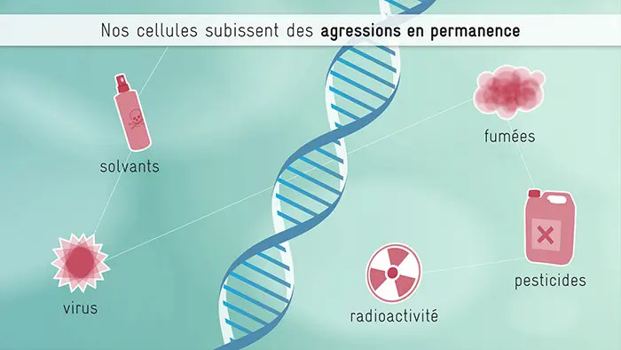 Rayonnements & Radioactivité · image 3