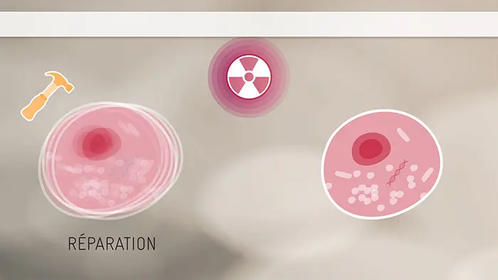 Rayonnements & Radioactivité · image 4
