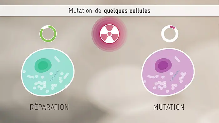 Rayonnements & Radioactivité · image 5