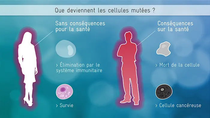 Rayonnements & Radioactivité · image 6