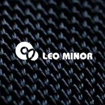 Leo Minor